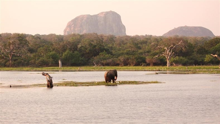 Elephant Rock