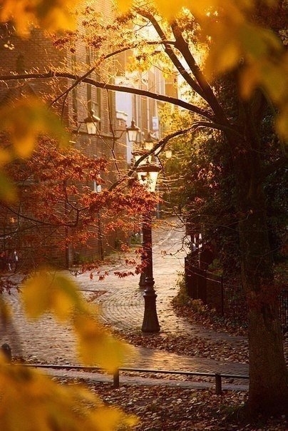 осень