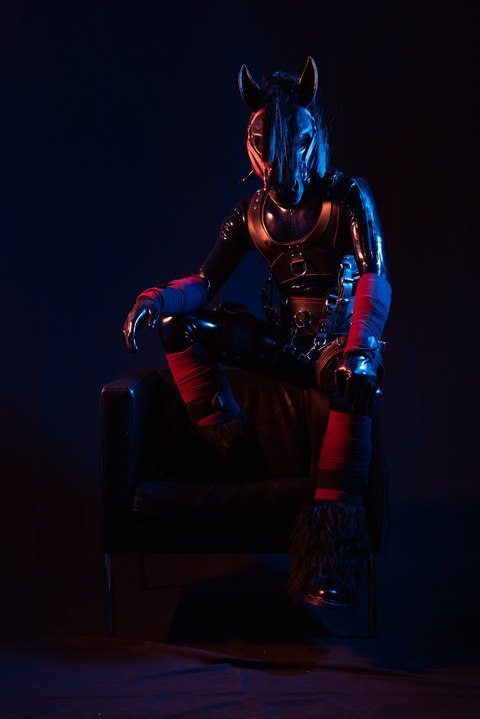 Rubber Pony