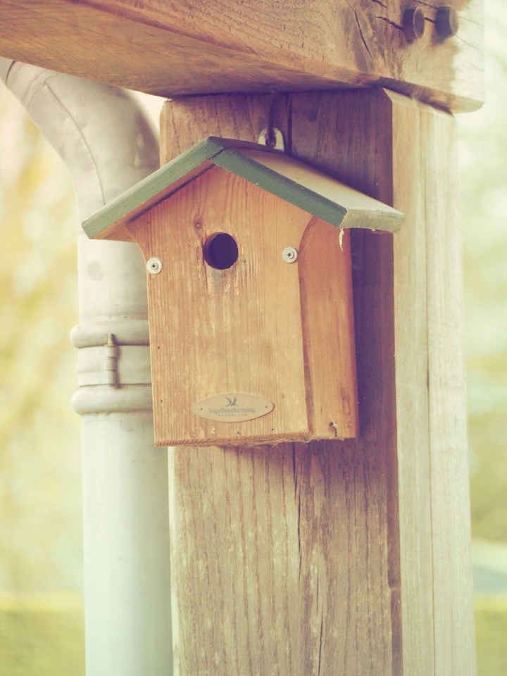 Birdhouse