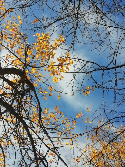 Autumn