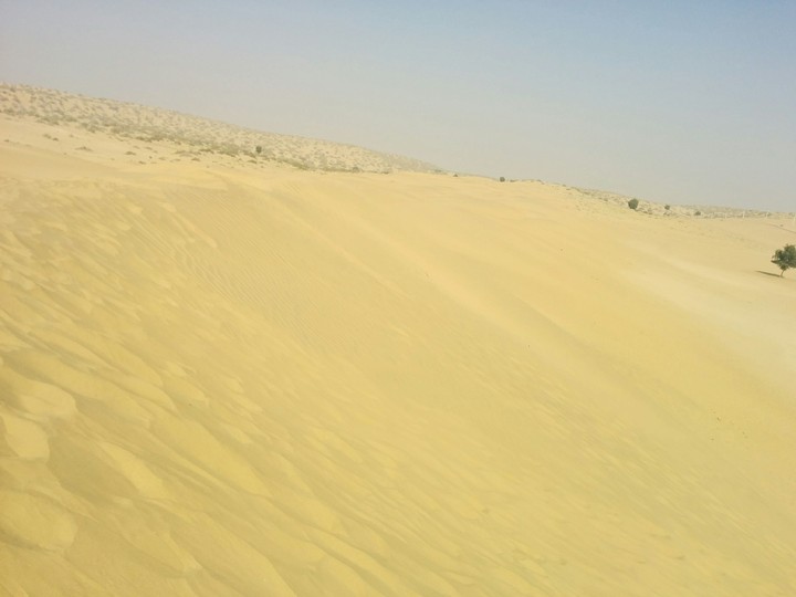 desert