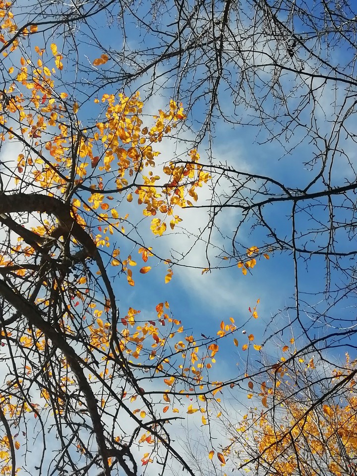 Autumn