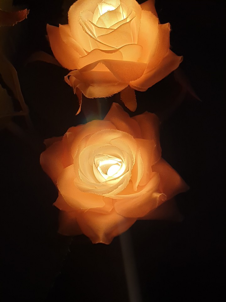 꽃램프