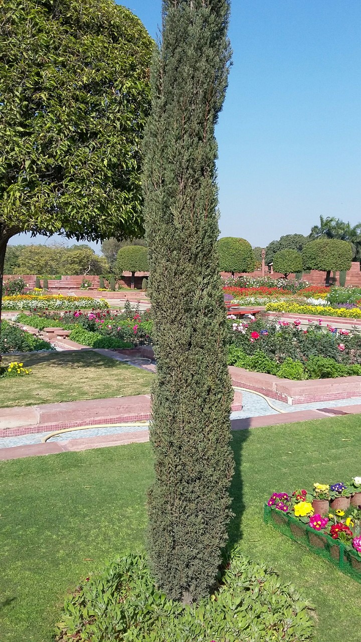 mughal garden