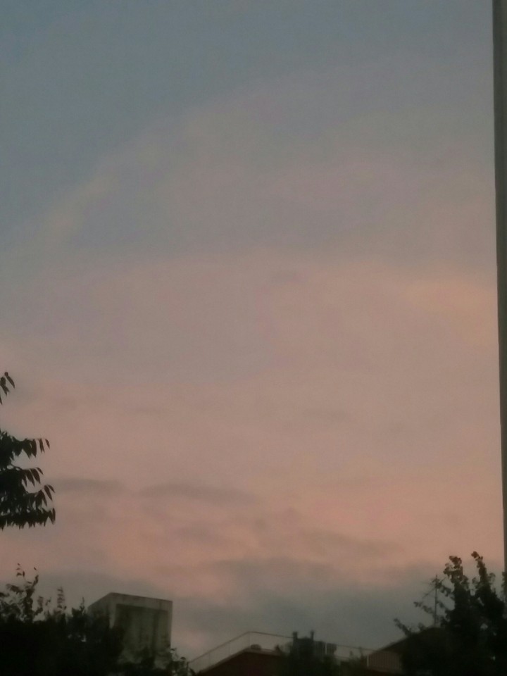 붉은구름 RED cloud