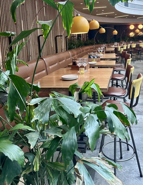 furniture, houseplant वॉलपेपर