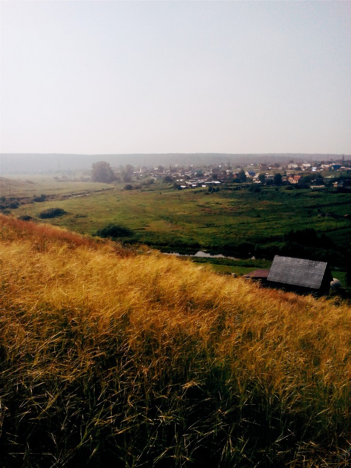 поле