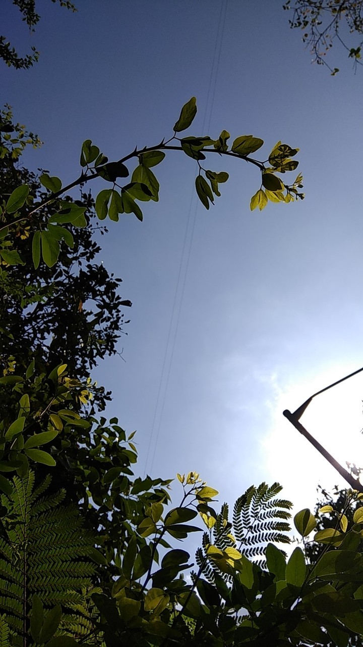 clear sky