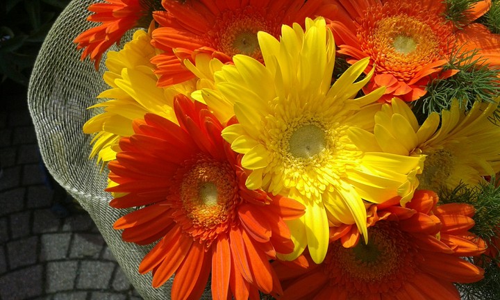 In a special day...