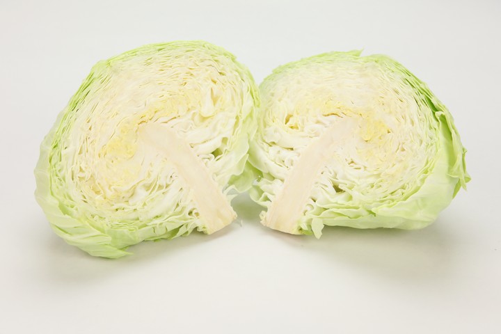 음식이미지