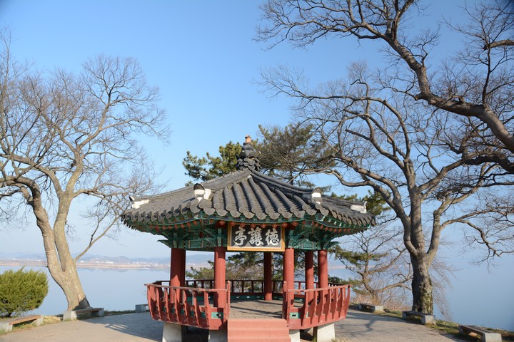 웅포이미지