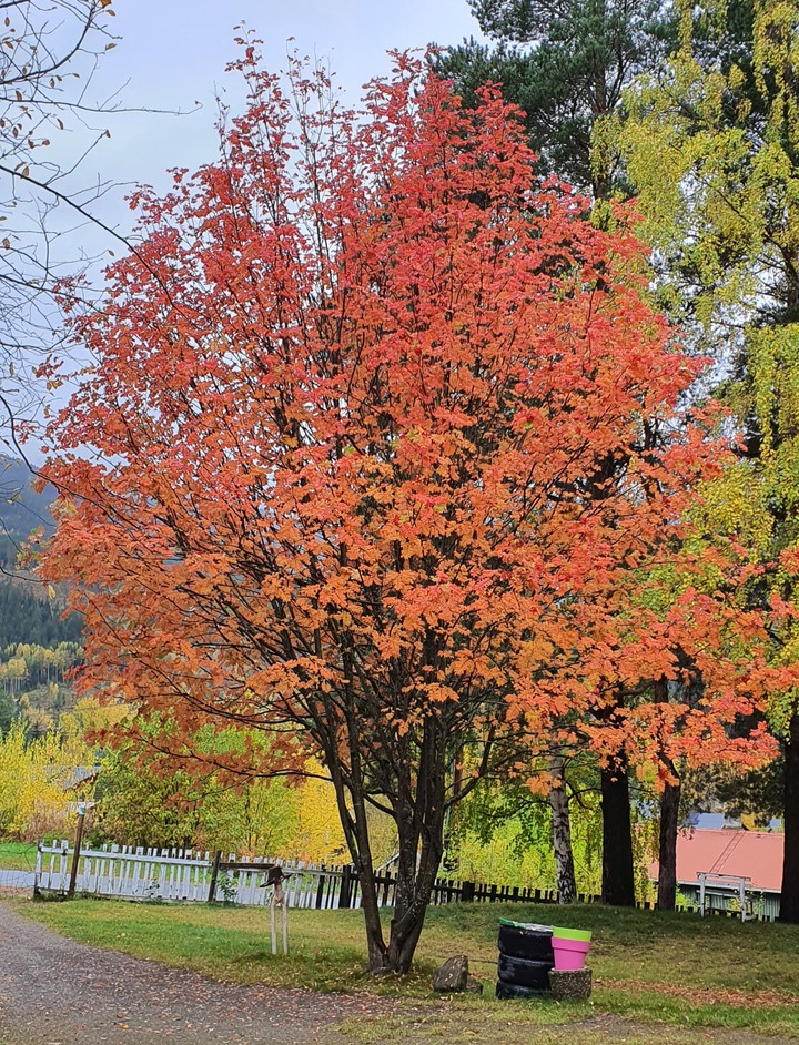 Autumn is here