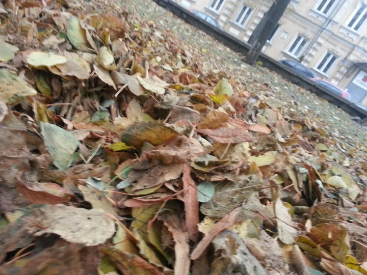 Love autumn