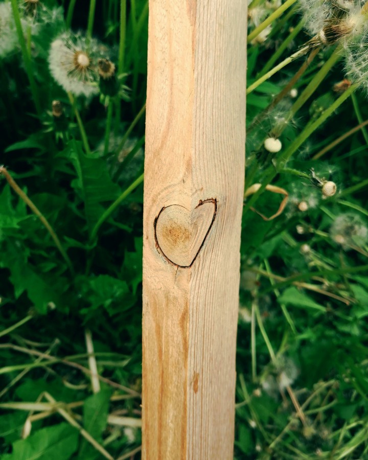 Wooden heart