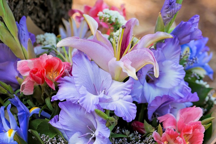 flowers :)