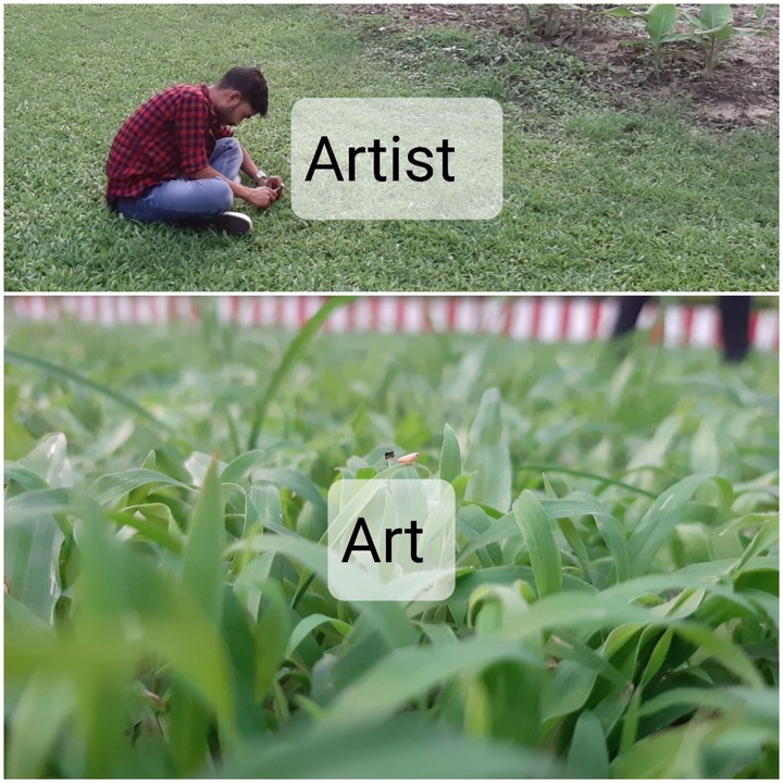 nature capture