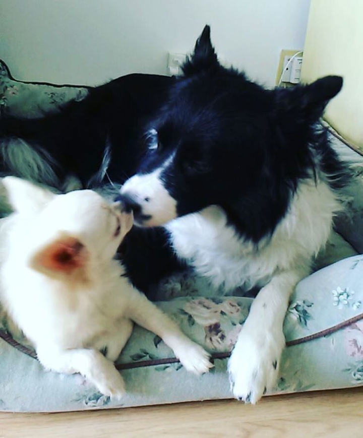 they are best friends kiss bucky and kaisa❤️