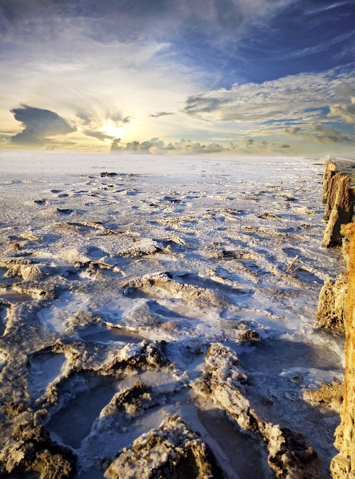sea salt