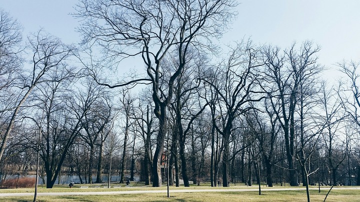 Łazienki Park in Warsaw.