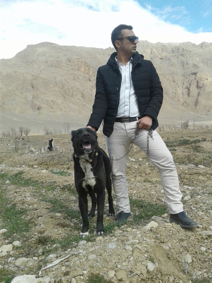 handsome