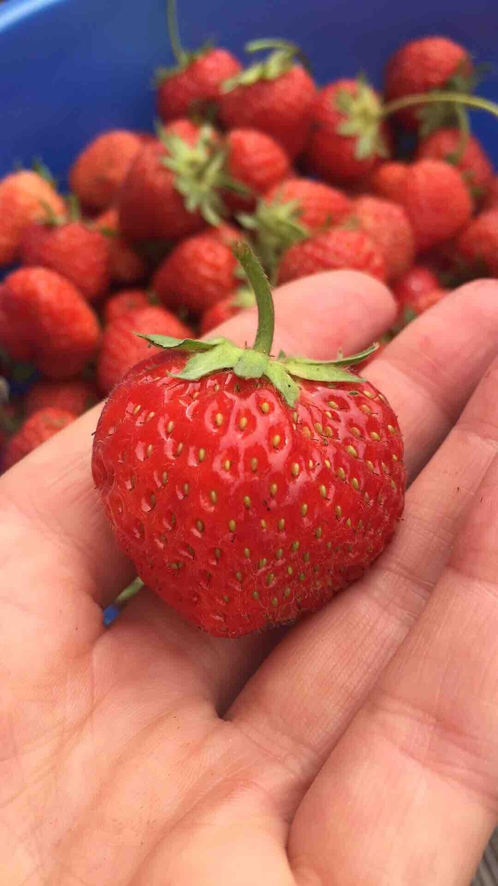 ??