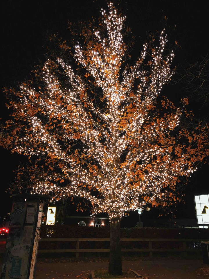 Light on the street