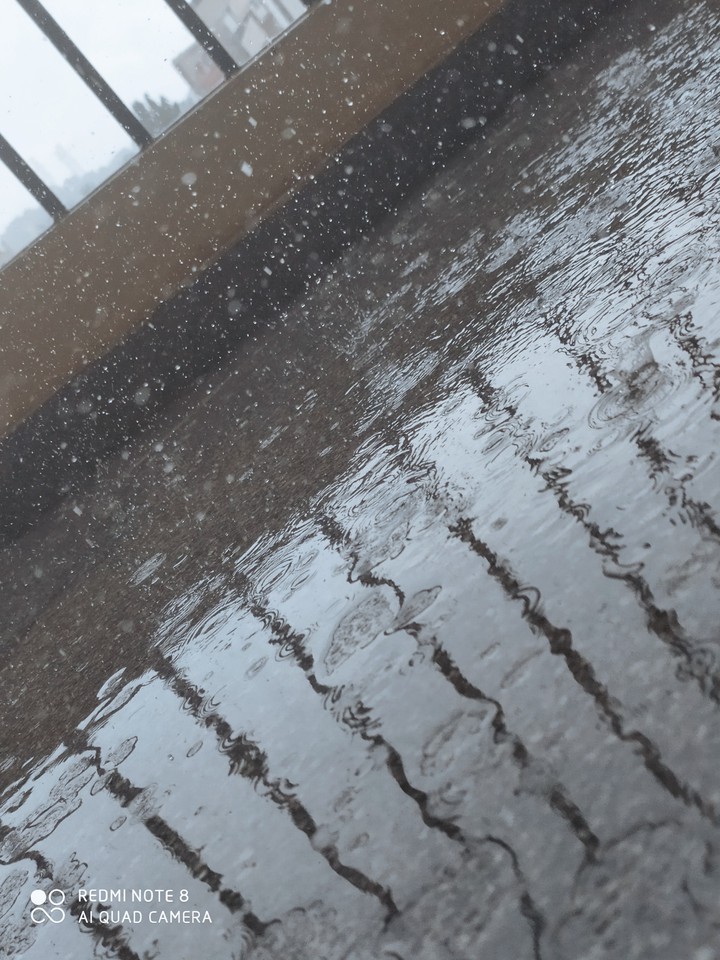 Rain