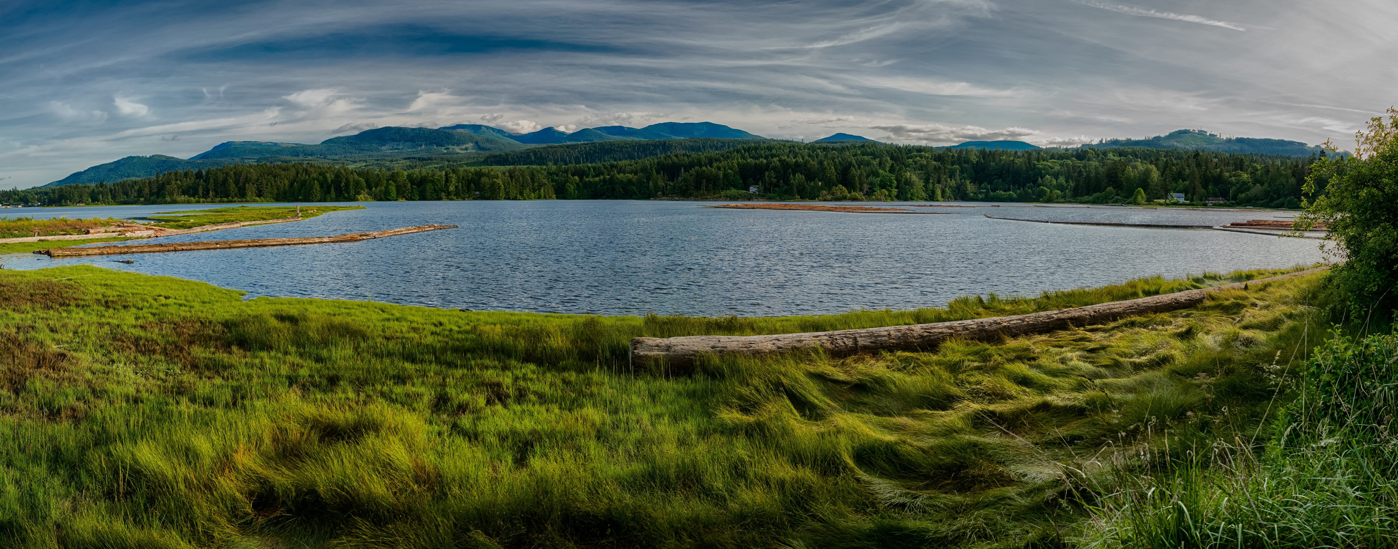 papéis de parede wetland, landscapes