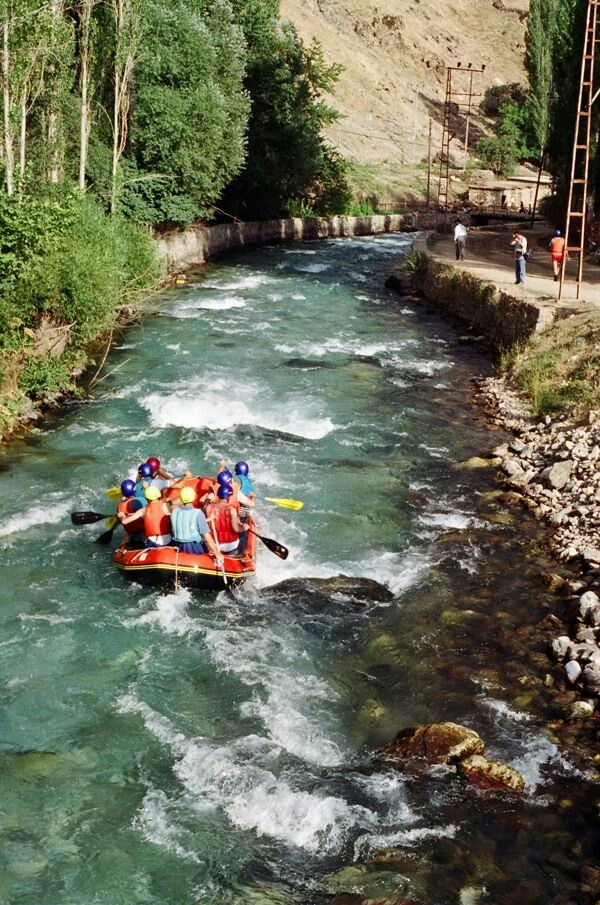 turkey