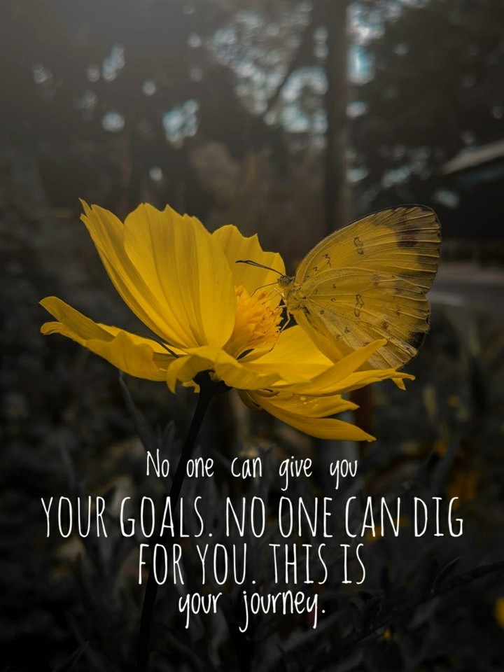 quote