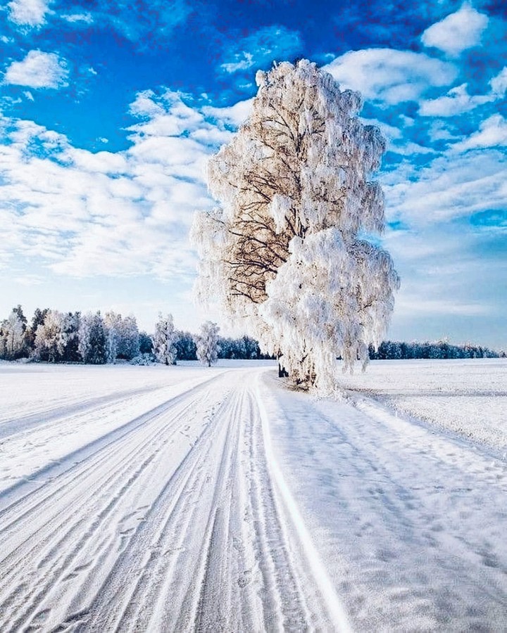 дорога