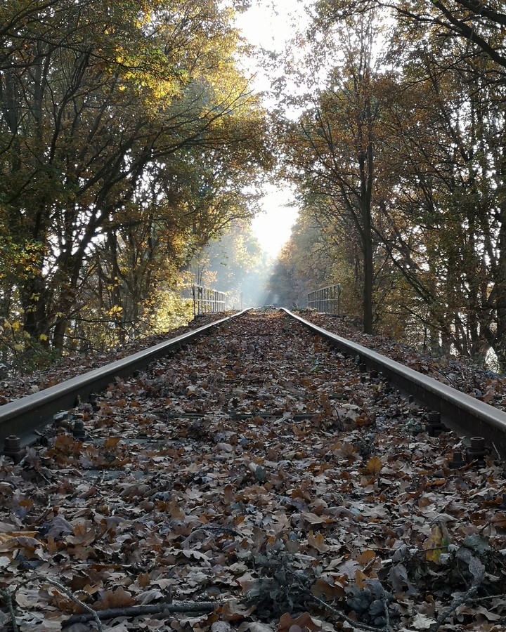 railway tracks in the sun
