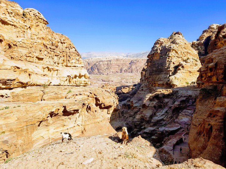 Petra
