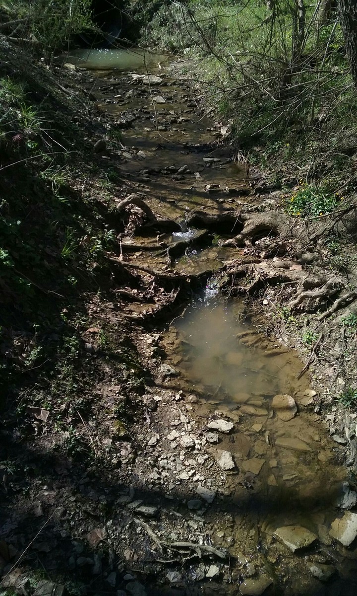 creek