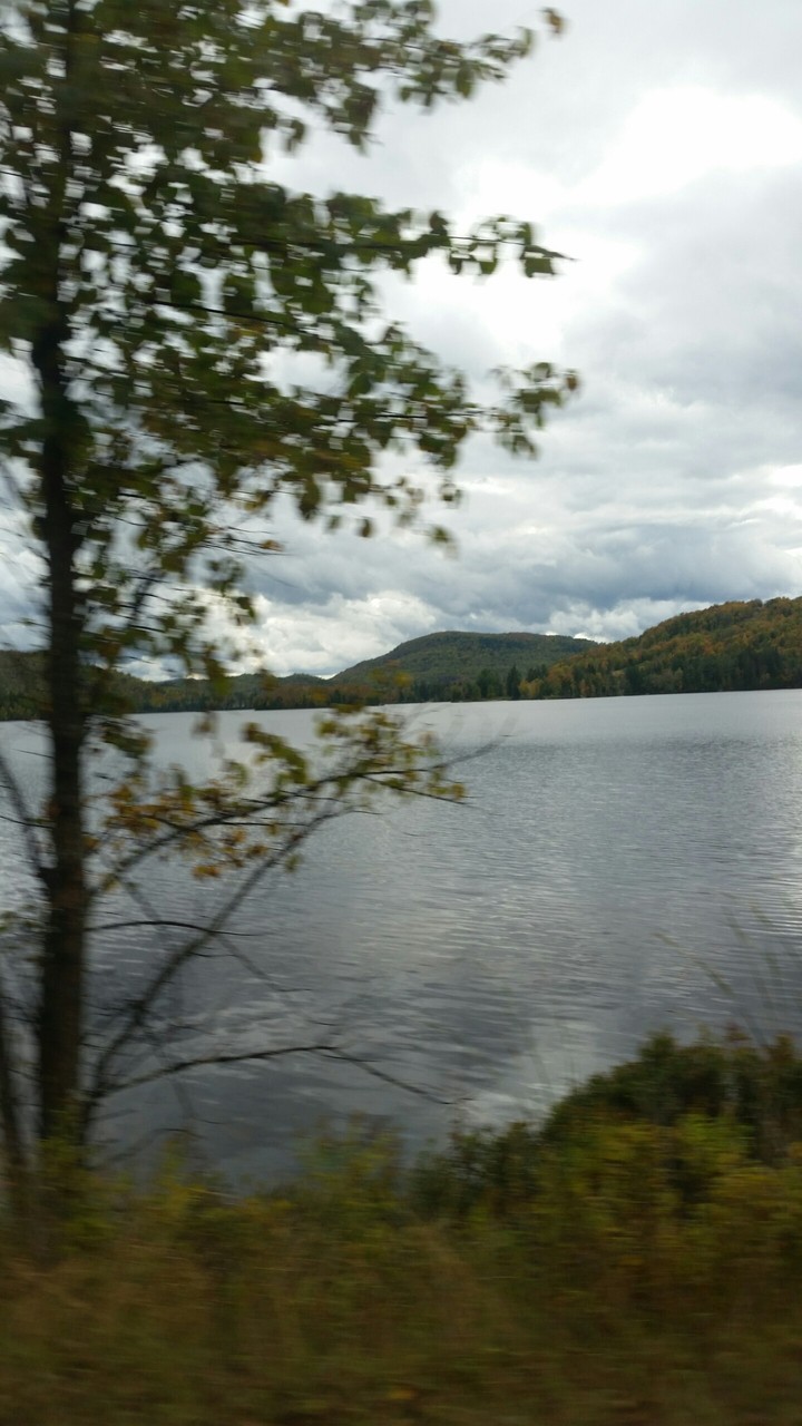 la nature