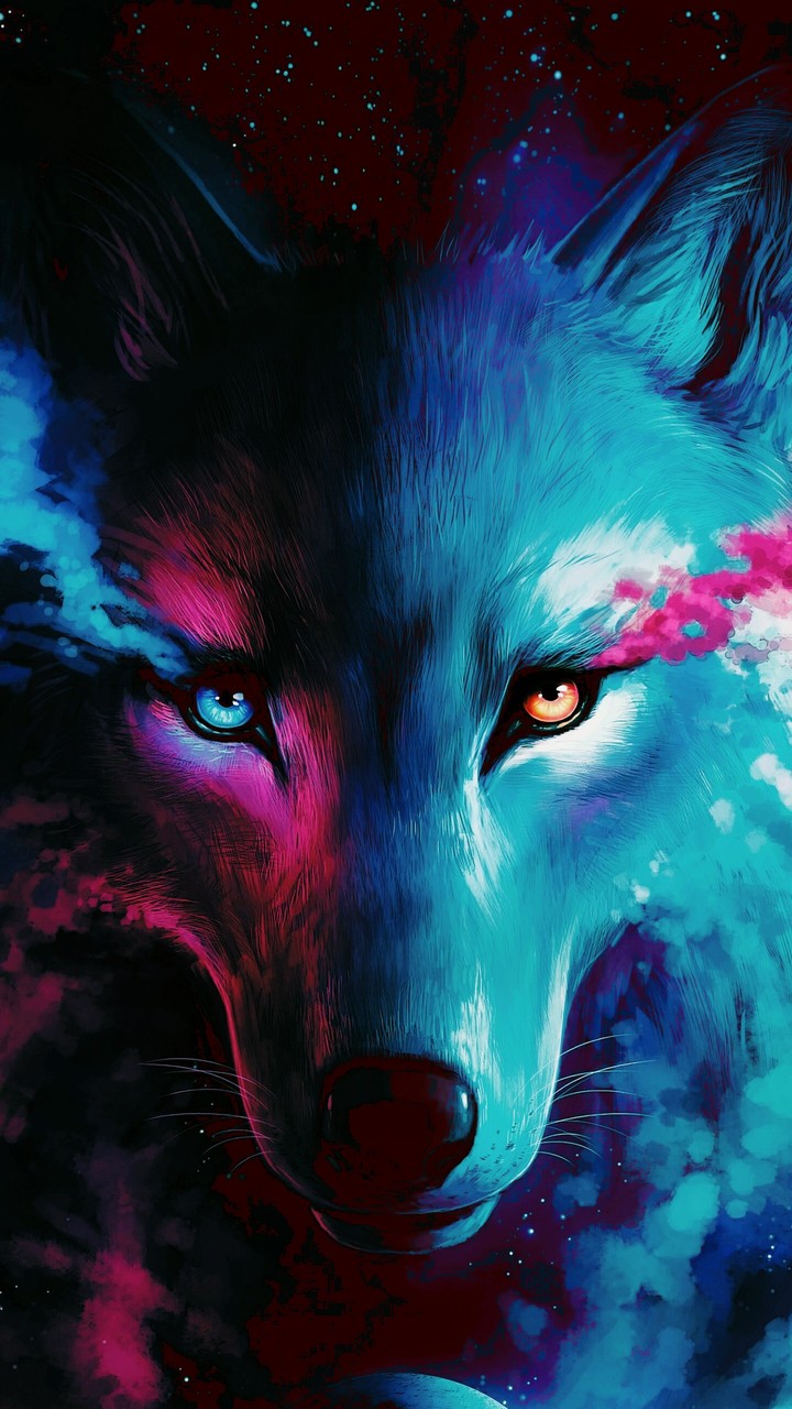 wolf