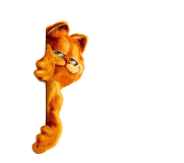 garfield