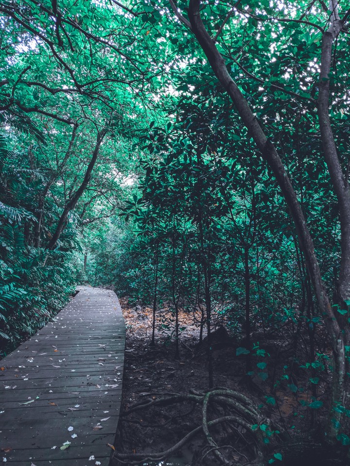 Pathway