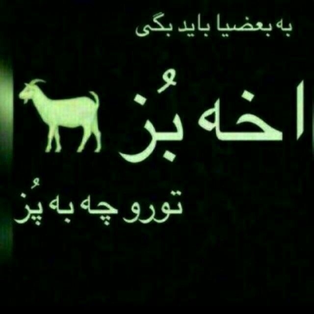 آخه بُز