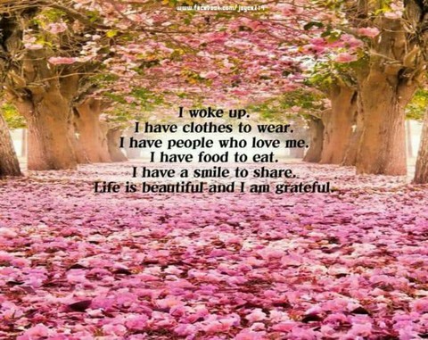 Quotes