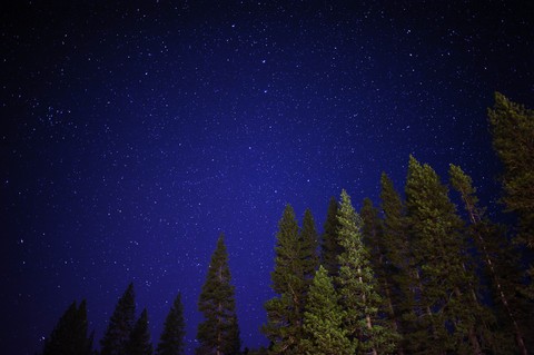 Starry Night
