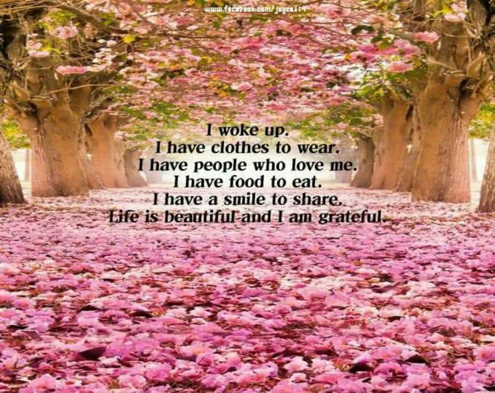 Quotes