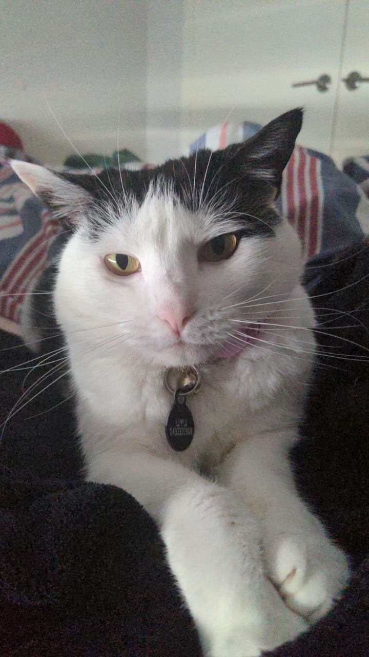 I have pink nose