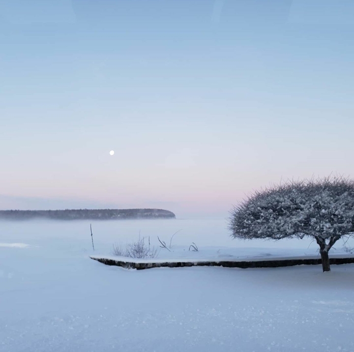 winter