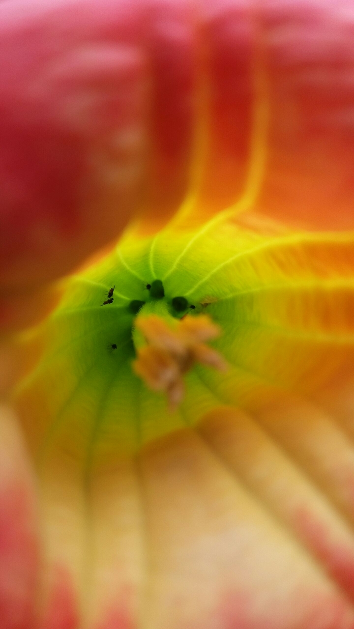 bottom