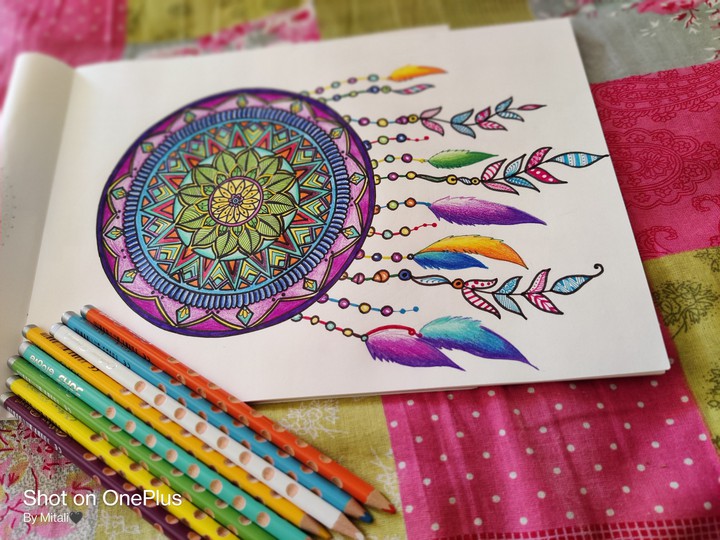 The Dream Catcher❤️