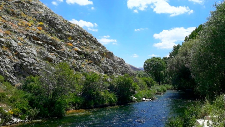 nature