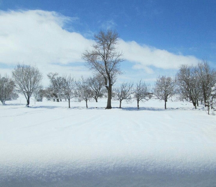 winter