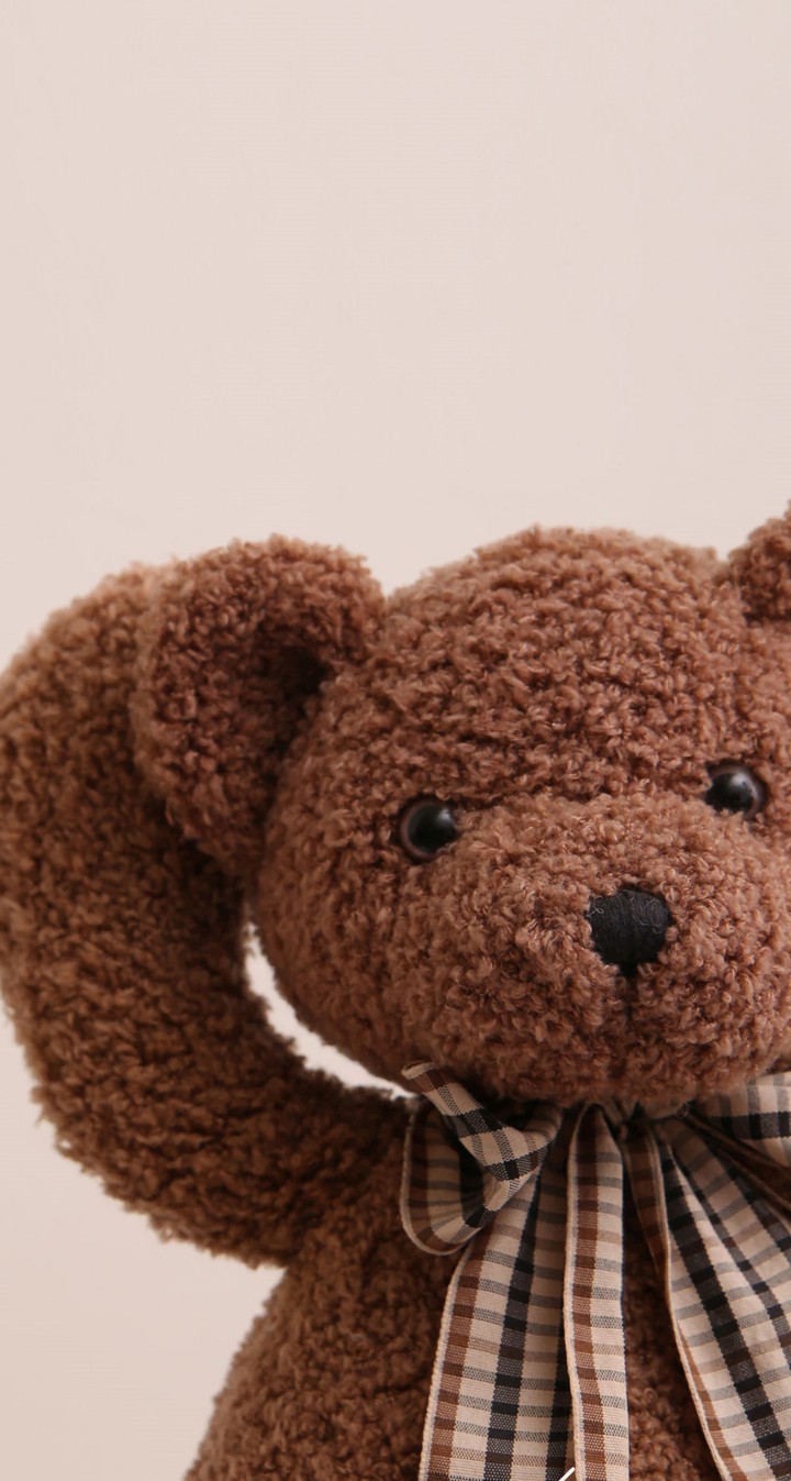 teddy bear